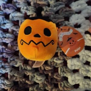 Pumpkin Squishmallow